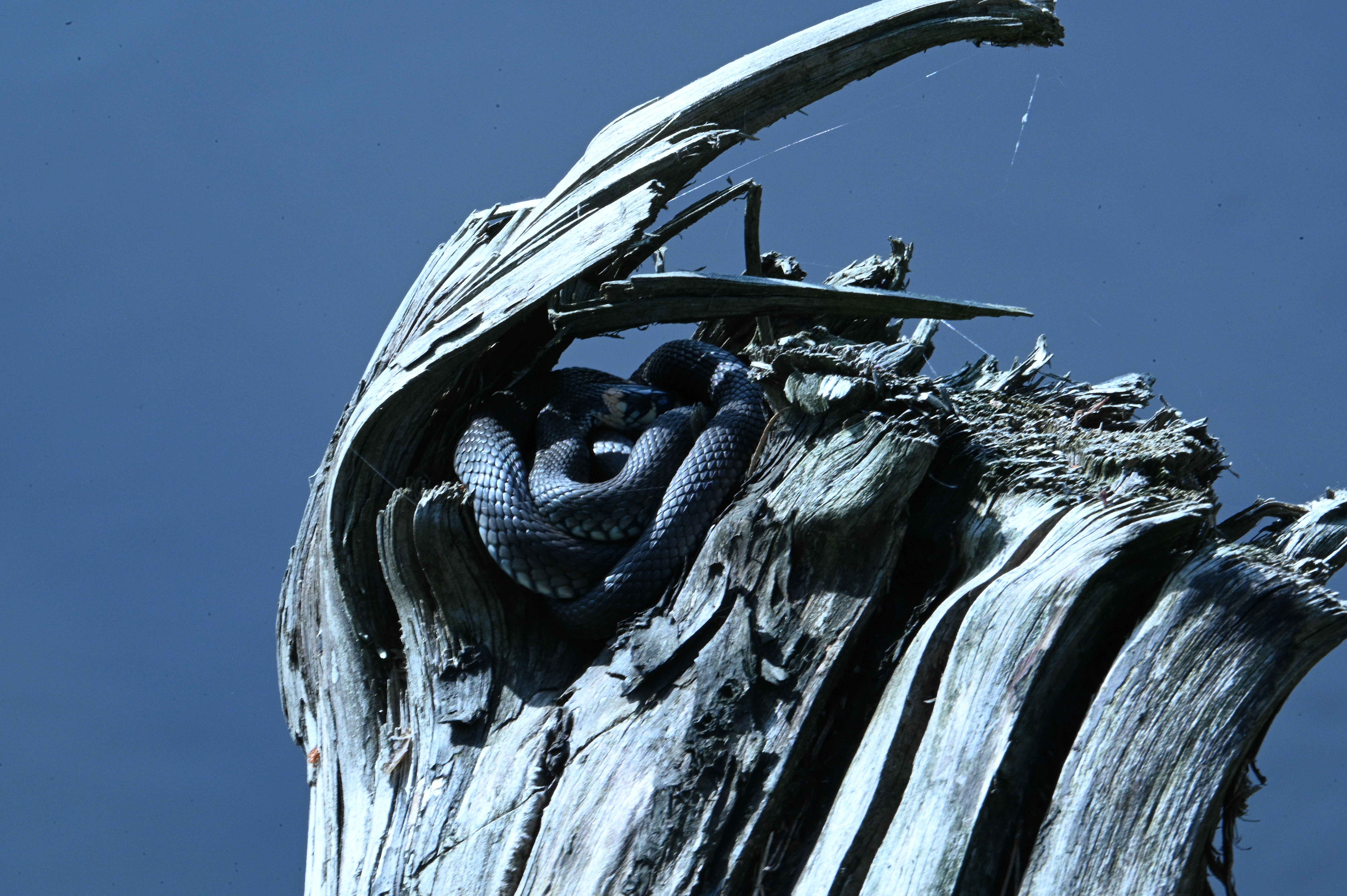 2025/07/09-14 - trip/DSC_0506.JPG